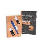 MTA Angelus – ام‌تی‌ای آنجلوس
